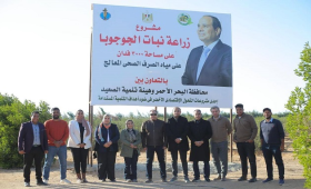 رئيس هيئة تنمية الصعيد يتابع عملية حصاد محصول الجوجوبا بالبحر الأحمر