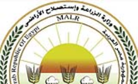 الزراعة تطلق حملة قومية لتحصين الماشية ضد 3 أمراض