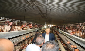 وزير الزراعة ومحافظ الشرقية يتفقدان مشروع الصالحية الزراعي