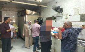  الزراعة تعلن ضبط 125 طن لحوم فاسدة خلال يونيو 