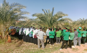 الزراعة تُدرب 660 طالبا لمكافحة سوسة النخيل