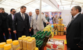  وزير الزراعة ومحافظ القاهرة يفتتحان معرضا للسلع الغذائية 