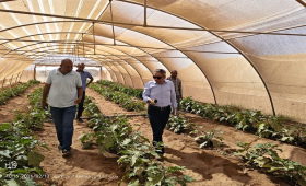 بحوث الصحراء يبحث رفع كفاءة استخدام الصوب الزراعية بحلايب وشلاتين