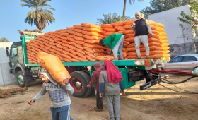  الزراعة تُكثف حملاتها الرقابية على الأسمدة في 6 محافظات 