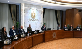 مجلس الوزراء يوافق على تأسيس شركة أركو سيدز لإنتاج التقاوي 