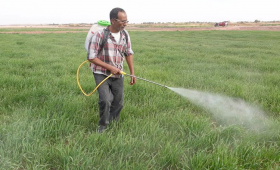 الزراعة تحدد 12 نصحة لمراعاتها أثناء عملية رش المبيدات