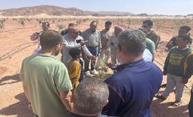 وزير الزراعة يوجه بحزمة دعم عاجلة لمتضرري السيول بسيناء 