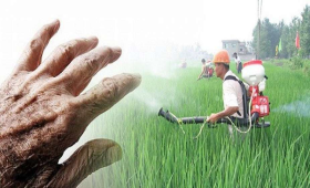  التسمم بالمبيدات.. الزراعة توضح أبرز الإسعافات الأولية 