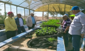 بحوث الصحراء يواصل جهود حصر وتصنيف الأراضي الصحراوية 