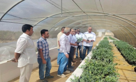 رئيس بحوث الصحراء يتفقد مركز التنمية المستدامة برأس سدر 