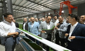 رئيس الوزراء يفتتح مصنع «فيفا ترف» لإنتاج النجيل الصناعي