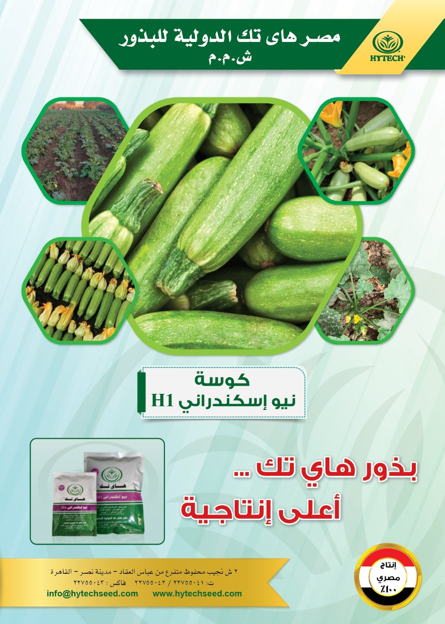 3b28b043af3b4085a023354d6f0b7fa1WhatsApp