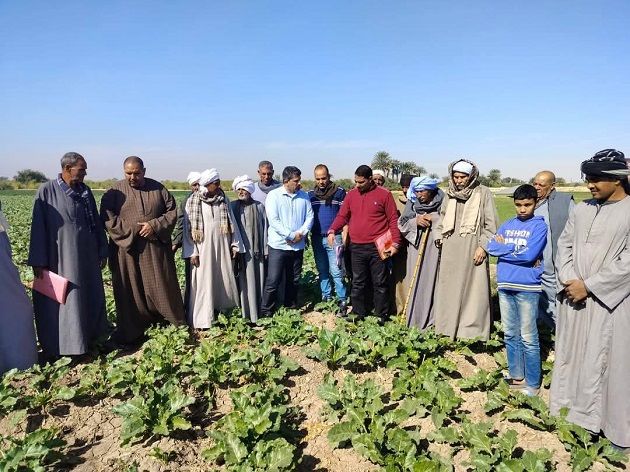 البحوث الزراعية يقدم 2952 نشاط إرشادي خلال ديسمبر 2024 