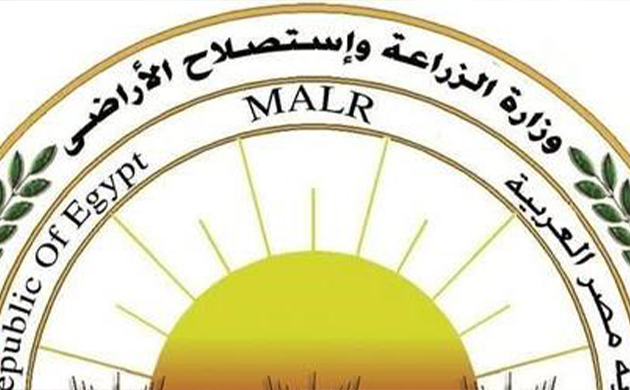 الزراعة تحذر من إعلانات التقاوي الوهمية وتكشف أساليب خداع المزارعين