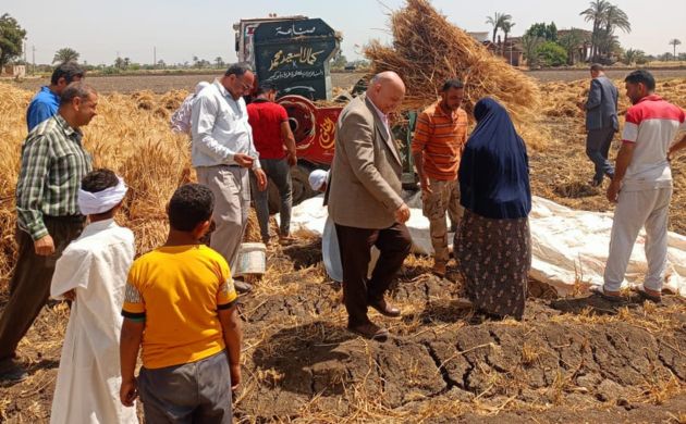 الإصلاح الزراعي يتابع حصاد القمح لدى المنتفعين 