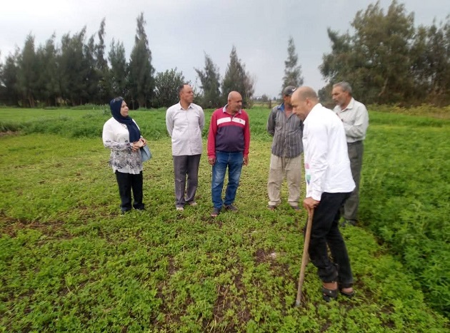  الزراعة تدعم 715 مزارعًا بـ 27 ألف نشاط إرشادي