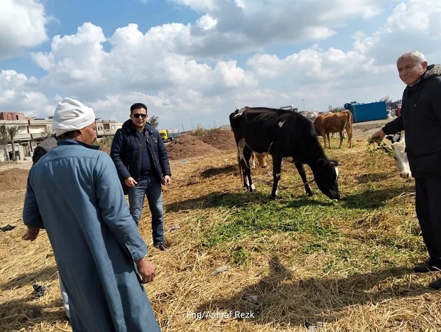 معهد الإنتاج الحيواني يدعم المربين بالإرشادات اللازمة 