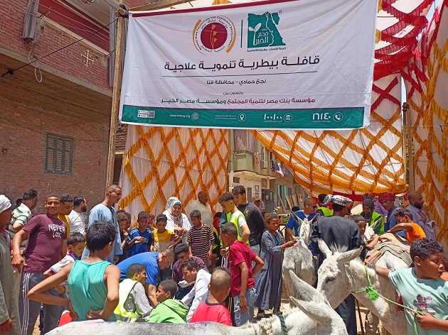 التناسليات الحيوانية يختتم أنشطة  قافلة بيطرية مجانية بقنا
