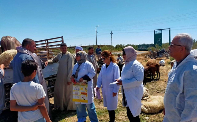 الزراعة تنفذ 7200 ندوة إرشادية بيطرية خلال أبريل