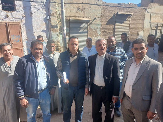 الزراعة توضح حقيقة علاقة النمل الأبيض بانهيار منازل الأقصر