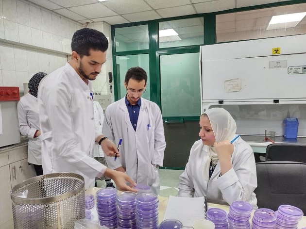 الزراعة تفحص مليون طن من بطاطس المائدة للتصدير