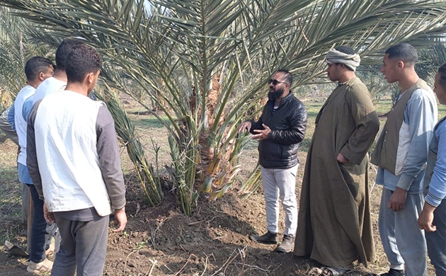 مركزي النخيل ينظم ندوة إرشادية عن مكافحة سوسة النخيل 