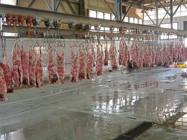  الزراعة: المجازر الحكومية استقبلت 705 ألف رأس ماشية