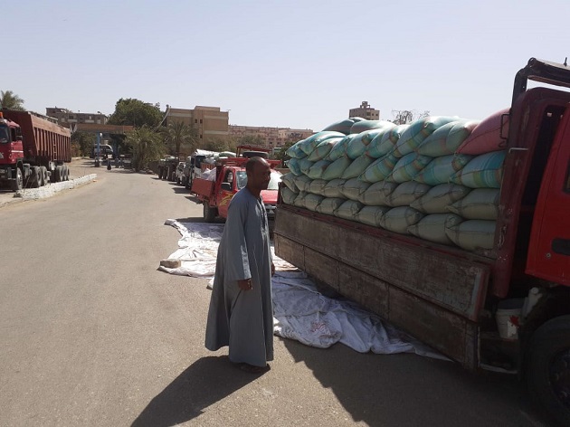  محافظ أسيوط يعلن توريد 3560 طن قمح محلي للصوامع والشون 