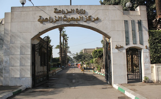 عاجل الى سيادة الرئيس .. نداء من 