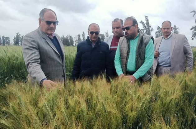  رئيس مركز البحوث الزراعية يتفقد محطة بحوث الجميزة