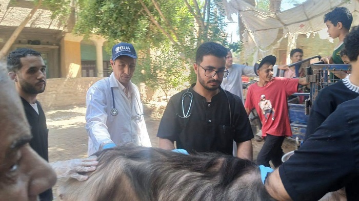 علاج 2800 حالة ماشية وطيور لصغار المربين بأسيوط