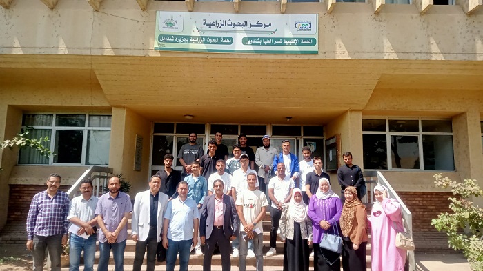 الزراعة تنظم تدريبا حول حشائش جنوب الوادي وطرق مكافحتها 