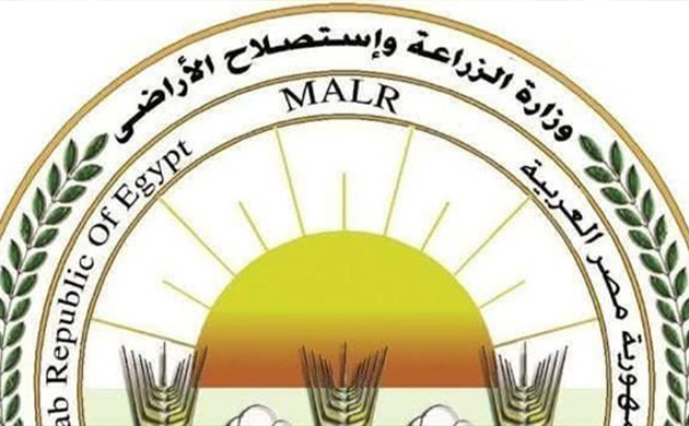 الزراعة تكثف حملاتها للرقابة على أسواق الأسماك المملحة وتقدم إرشادات عاجلة للمواطنين