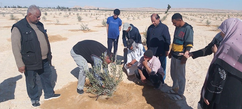 بحوث الصحراء يُكثف جولاته بسيناء لدعم المزارعين   