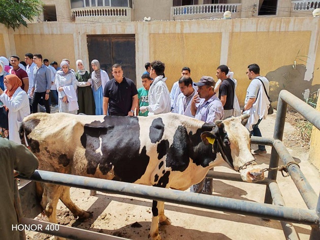 الزراعة تطلق 254 قافلة بيطرية خلال يوليو لخدمة المربين بالقر