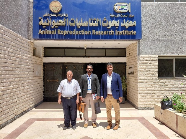 تعاون مصري هندي في التحسين الوراثي للماشية