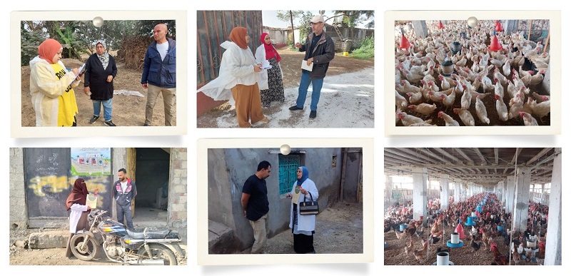 الزراعة تنفذ أكثر من 8600  ندوة إرشادية بيطرية 