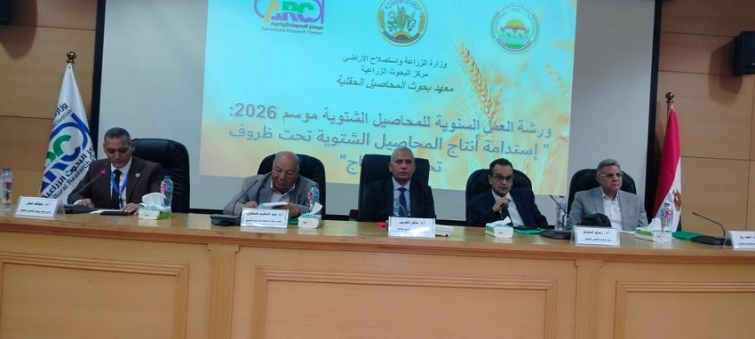 البحوث الزراعية ينظم ورشة عمل عن نتائج الموسم الزراعي الشتوي السابق