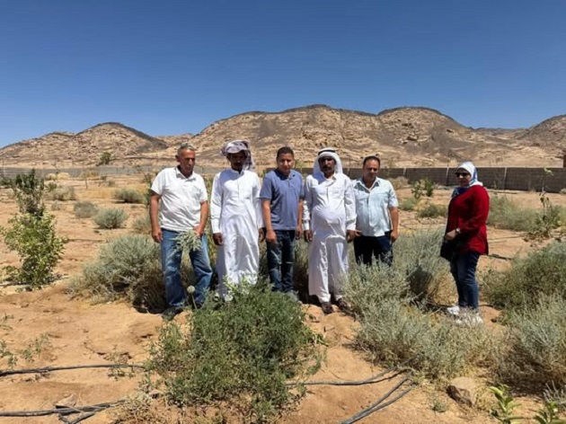الزراعة تستعرض جهود بحوث الصحراء خلال يونيو الماضي