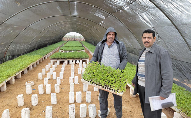 الزراعة تكثف جولاتها الميدانية لمتابعة الصوب الزراعية ودعم مزارعي الخضر والفاكهة