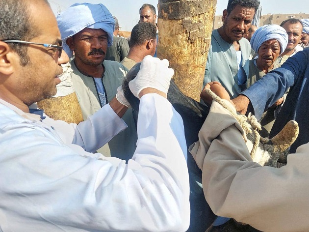 الخدمات البيطرية تنفذ 8 آلاف زيارة للتقصي النشط خلال أغسطس الماضي