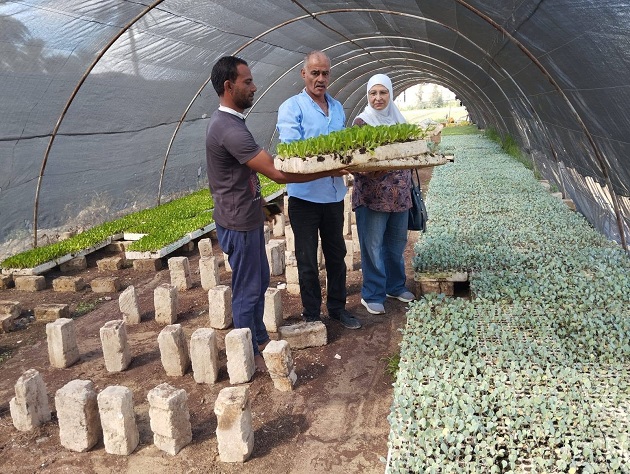 زراعة الإسكندرية تتابع صوب الخضر بمنطقة النهضة 