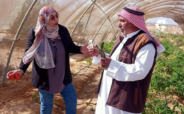 بحوث الصحراء يتابع حالة الزراعات بالتجمعات الزراعية بسيناء
