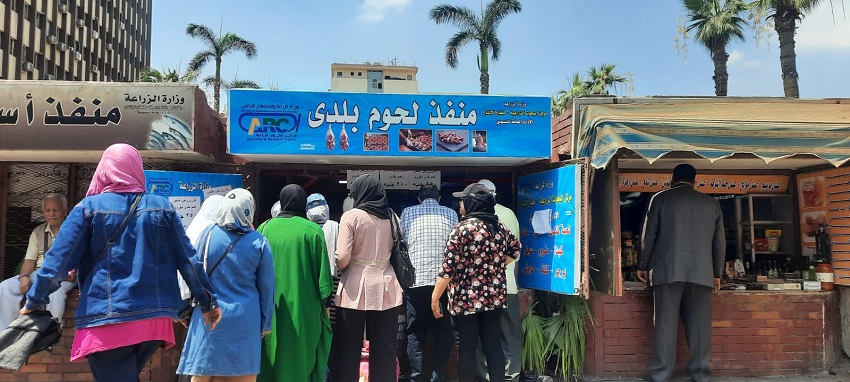 فاروق يوجه بضخ مزيد من المنتجات الغذائية في بمنافذ الزراعة