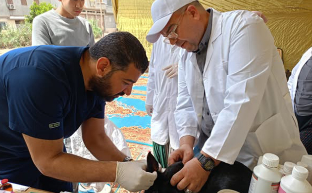 الزراعة تطلق 9 قوافل بيطرية علاجية في 5 محافظات 