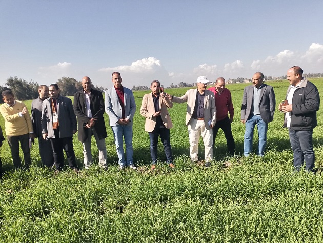 الزراعة تواصل دعم مزارعي القمح بجميع المحافظات 