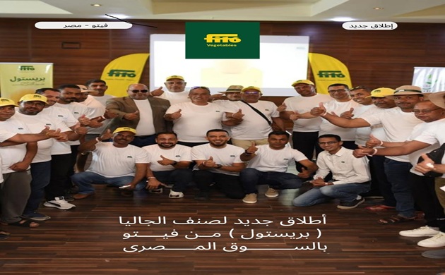 فيتو الإسبانية تطلق «بريستول».. صنف جديد جاليا يفتح آفاق التصدير 