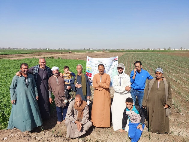 المركزية للإرشاد الزراعي تنظم أكثر من ١٥٠ ندوة خلال ديسمبر 