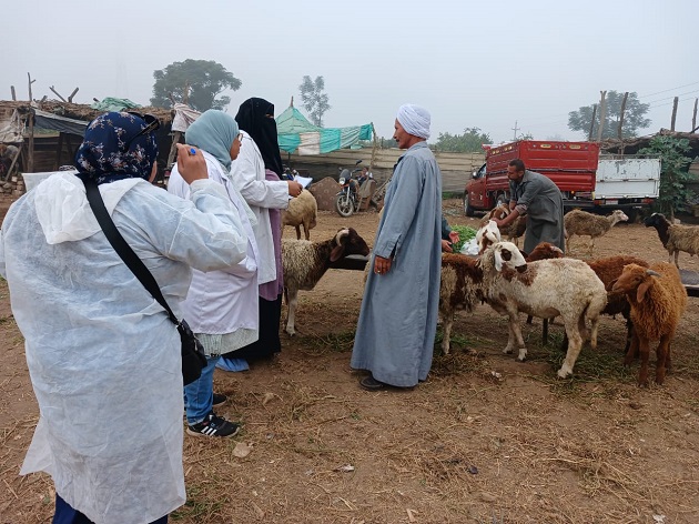  الزراعة تنفذ حملات تقصي موسعة للأمراض الحيوانية