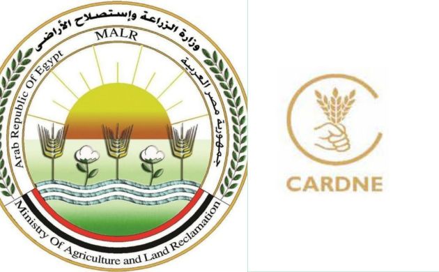 الزراعة وكاردني ينظمان ورشة حول تعزيز دور الإرشاد الزراعي في التنمية الريفية 